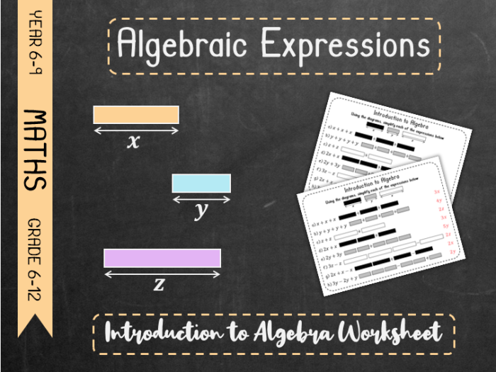 Introduction to Algebraic Expressions Worksheet Number 6 Sixth grade math worksheet covering order of operations and combining like terms