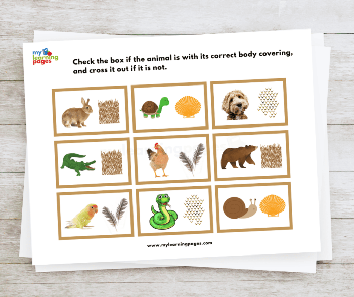 Informational guide for creating animal reports in handwriting class Worksheet featuring the All About Animals Report for kindergarten students