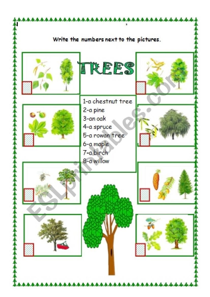Kindergarten student completing an All About Trees labeling worksheet
