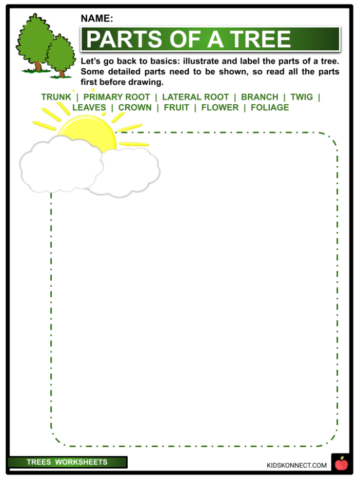 Kindergarten student labeling tree parts on a simple science worksheet with roots, trunk, branches, and leaves