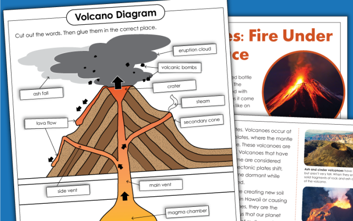 Detailed cutaway diagram illustrating the science behind volcanic eruptions for a fourth-grade worksheet. Educational resource titled "All About Volcanoes Worksheet" for division studies.