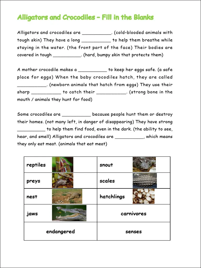 Alligator versus crocodile addition worksheet number 24 for third graders Third grade math worksheet featuring addition practice with alligator and crocodile facts
