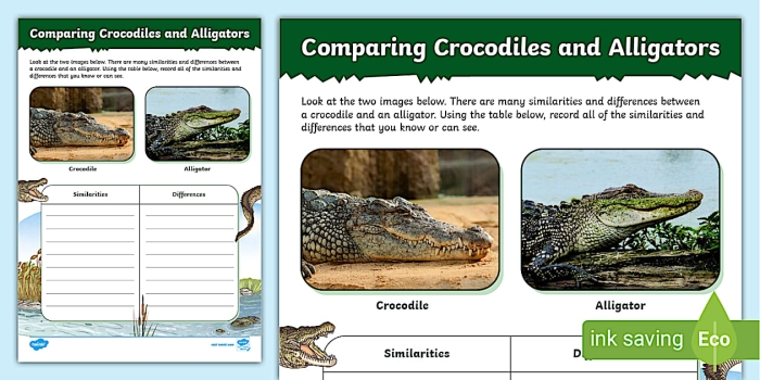 Alligator vs Crocodile Addition Practice Worksheet 10 Third grade addition worksheet comparing alligator and crocodile facts