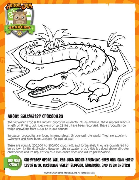 Alligator vs Crocodile Math Activity for Elementary Students Third grade addition worksheet comparing alligators and crocodiles with math problems to solve
