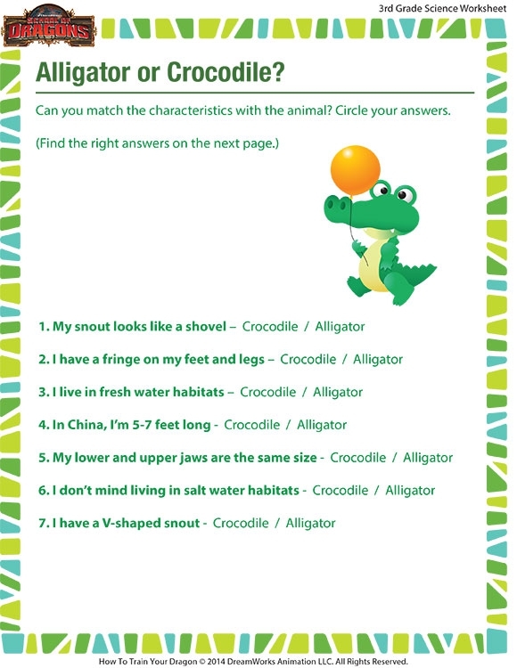 Alligator vs Crocodile Addition Practice Worksheet for Grade 3 Students Third grade addition worksheet featuring an educational comparison between alligators and crocodiles