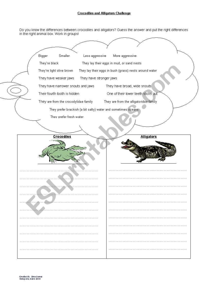 Learning About Alligators and Crocodiles Through Addition Practice Third grade addition worksheet featuring alligator and crocodile differences with math problems