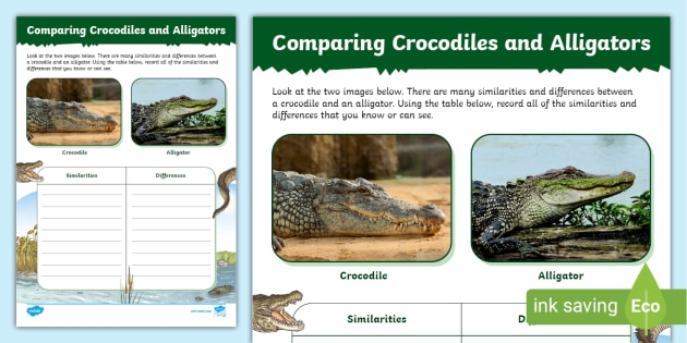 Learning the differences between alligators and crocodiles through math activities for elementary students Third grade students comparing alligators and crocodiles while practicing addition problems on a worksheet
