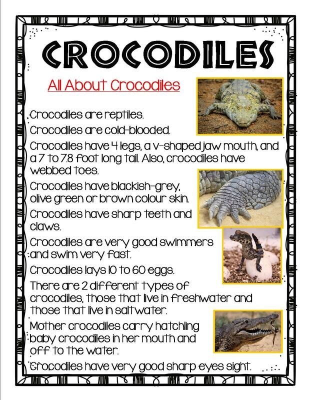 Image 22: Learn the differences between alligators and crocodiles while practicing addition facts Alligator vs. Crocodile worksheet showing third grade addition problems with pictures of both reptiles