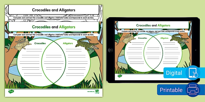 Alligator vs Crocodile Addition Worksheet Number 14 Third grade math worksheet featuring addition practice with alligator and crocodile facts for lesson 14