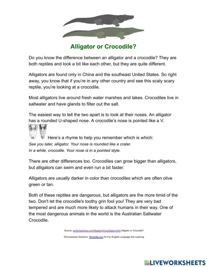 Alligator vs Crocodile Math Worksheet Number 20 Third grade addition worksheet comparing alligator and crocodile facts