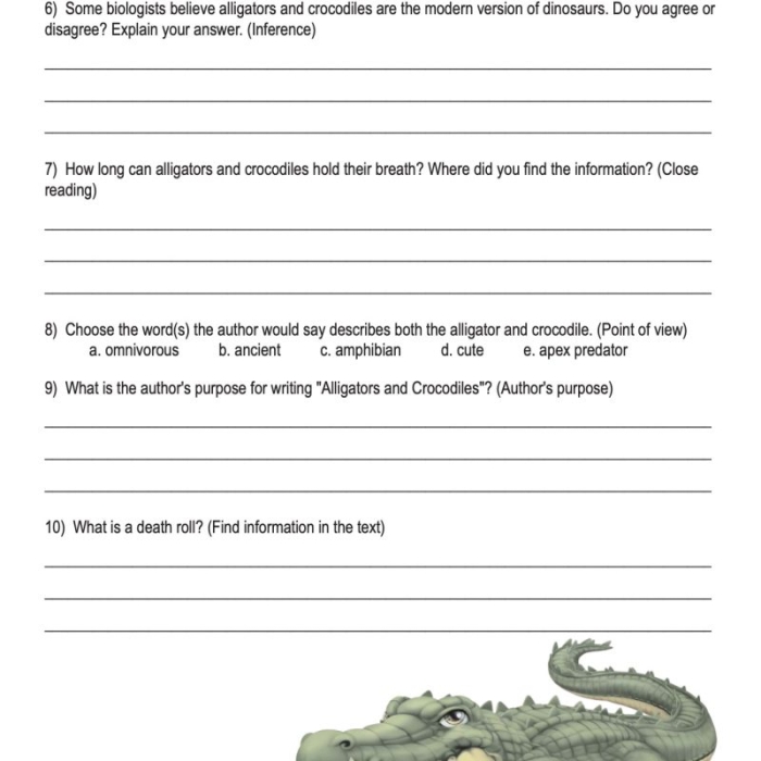 Learning About Alligators and Crocodiles Through Math Practice Third grade students comparing alligator and crocodile differences while practicing addition problems on an educational worksheet