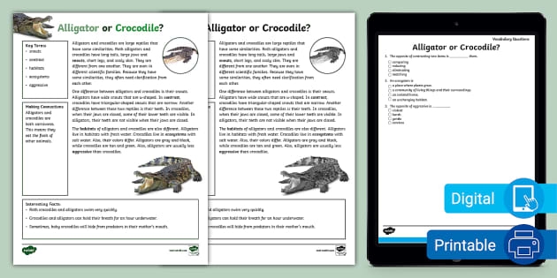 Alligator vs Crocodile Addition Worksheet Number 21 Third grade math worksheet featuring addition problems alongside fun facts about alligator and crocodile differences