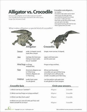 Learn the differences between alligators and crocodiles while practicing addition skills Third grade addition worksheet featuring alligator and crocodile facts with math problems to solve