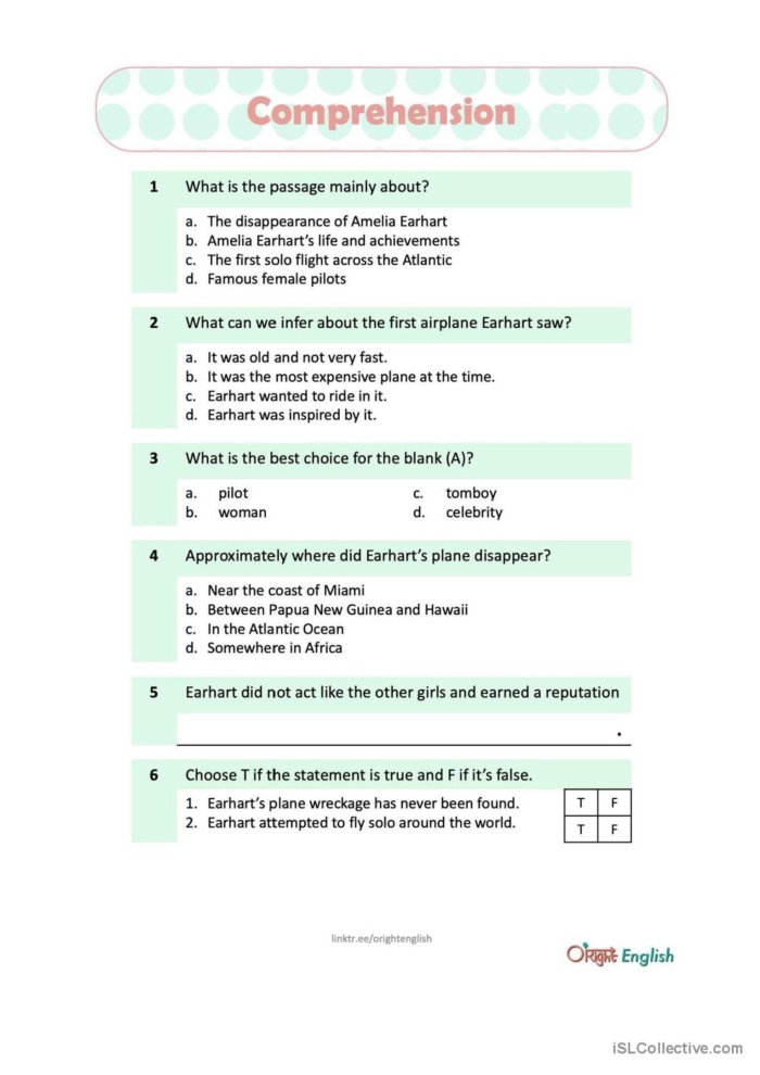 Interactive learning resource featuring Amelia Earhart for reading skills development Amelia Earhart Reading Response worksheet for second graders focusing on reading comprehension