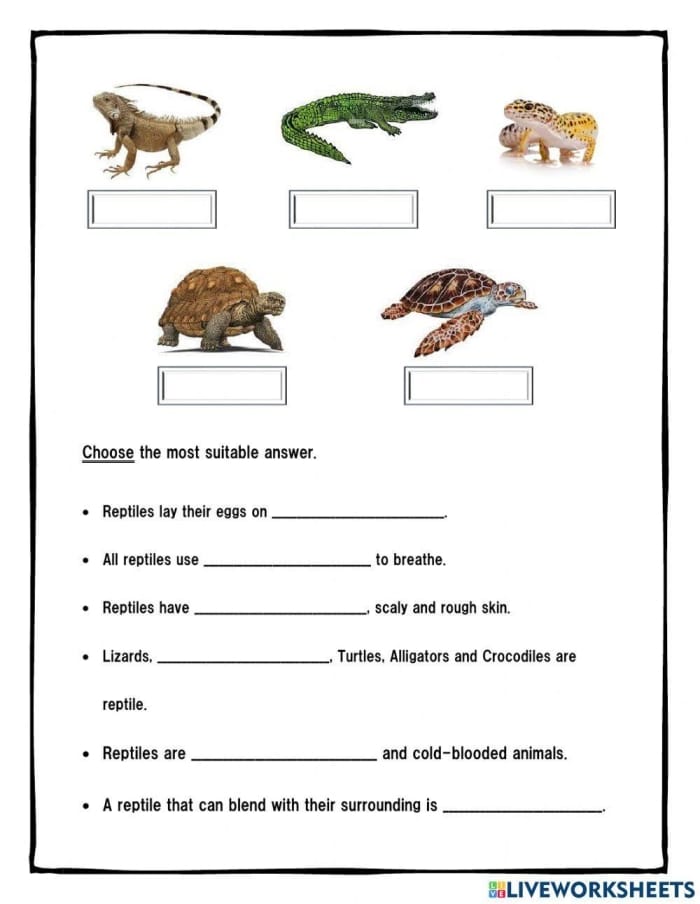 Critter Classification Amphibians Activity Sheet 12 First grade science worksheet about identifying and circling different types of amphibians