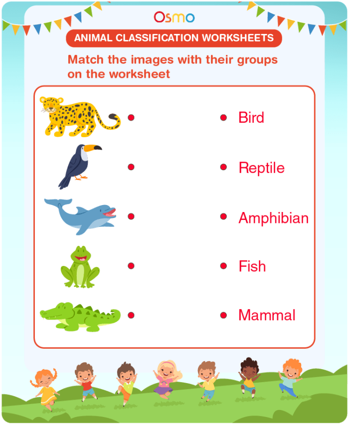Interactive amphibian identification worksheet for young learners in life science Colorful worksheet for first graders on critter classification focusing on amphibians and their shared traits