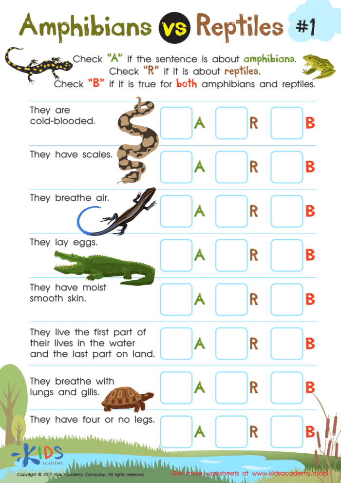 Critter Classification: Amphibians worksheet for first grade students Cute worksheet for first graders to identify and circle animals that are amphibians
