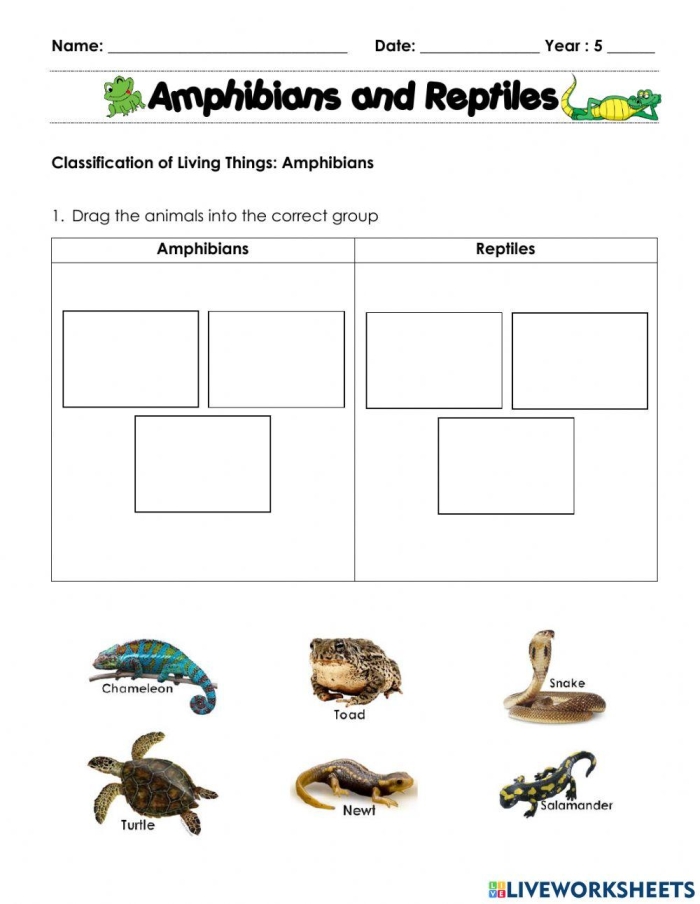 Colorful illustration of amphibians and reptiles found in Yellowstone National Park for a third-grade worksheet