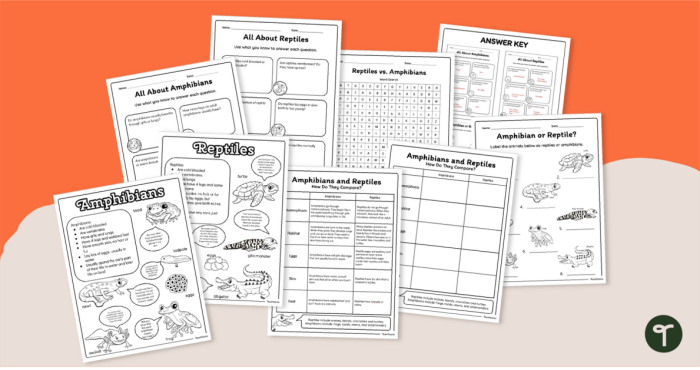 Third grade science worksheet featuring illustrations of amphibians and reptiles found in Yellowstone National Park