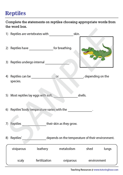 Third grade science worksheet featuring amphibians and reptiles native to Yellowstone National Park