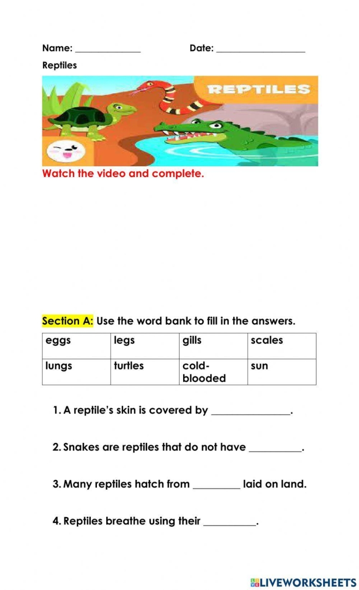 Colorful illustration of amphibians and reptiles found in Yellowstone National Park for a third-grade worksheet