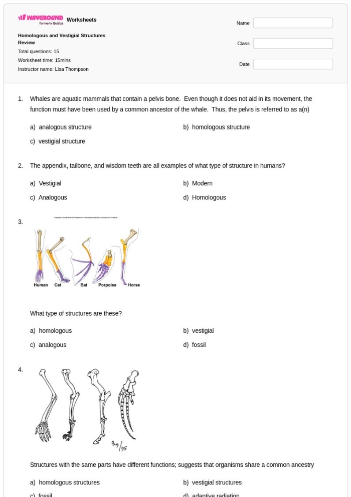 Sixth grade students completing a biology worksheet on analogous and homologous body structures