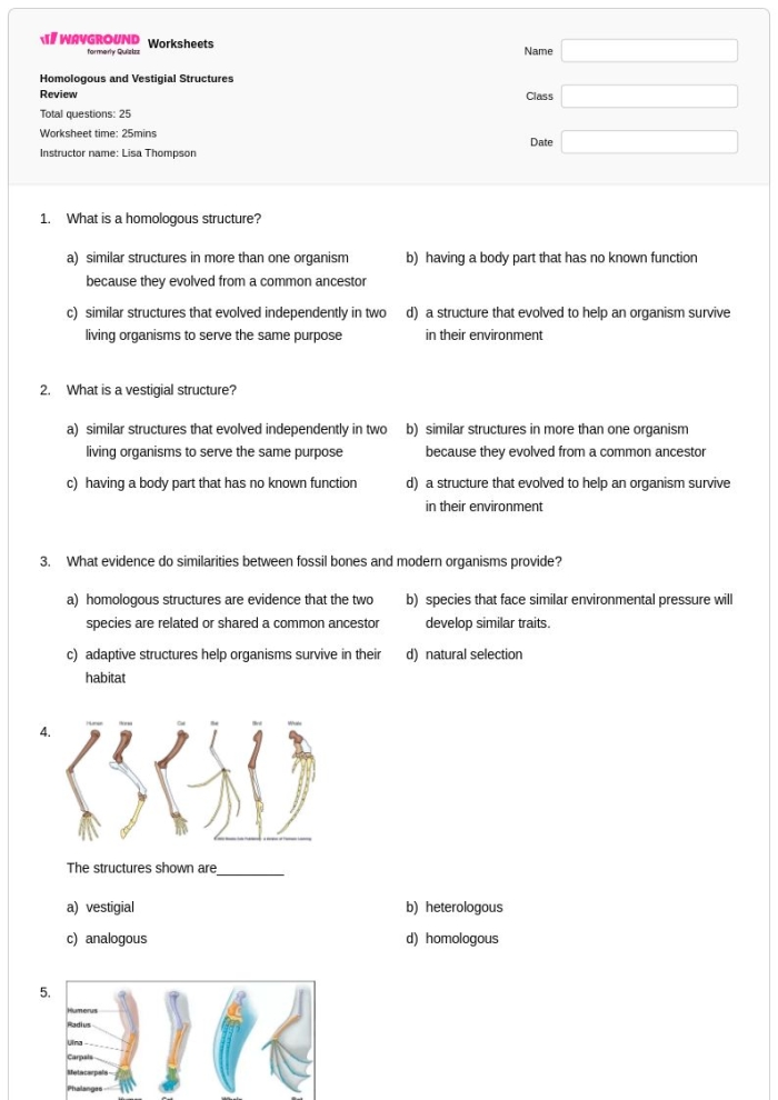 Sixth grade science worksheet focused on comparing analogous and homologous body structures in various organisms