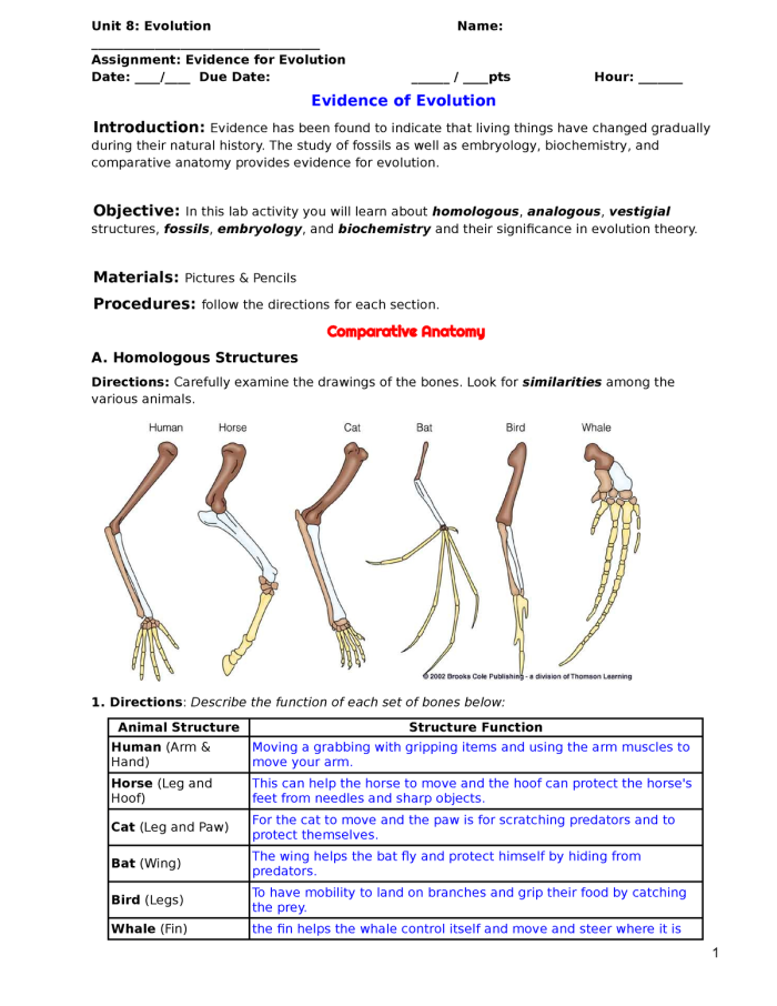 Sixth grade science worksheet focused on identifying and comparing analogous and homologous biological structures