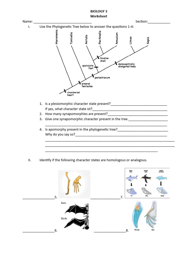 Diagram comparing analogous and homologous structures across different animal species for sixth grade biology students