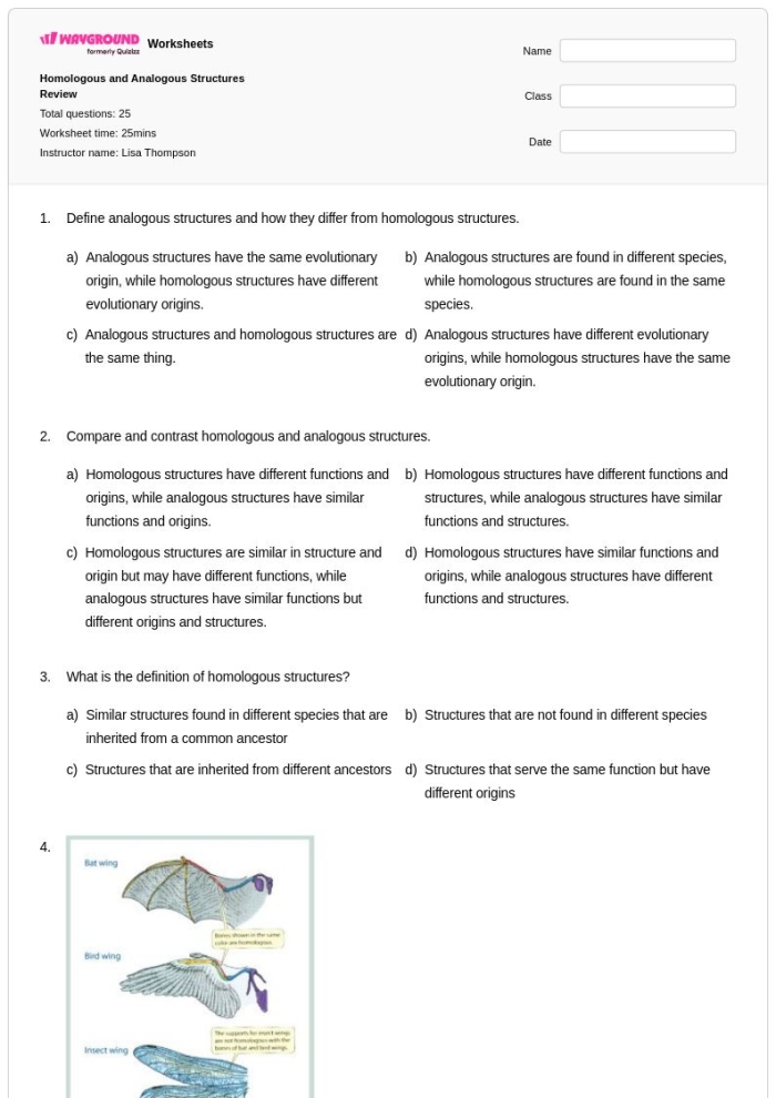 Sixth grade life science worksheet comparing biological structures to determine evolutionary connections