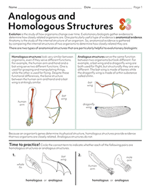Sixth grade science students analyzing evolutionary relationships on an Analogous and Homologous Structures worksheet