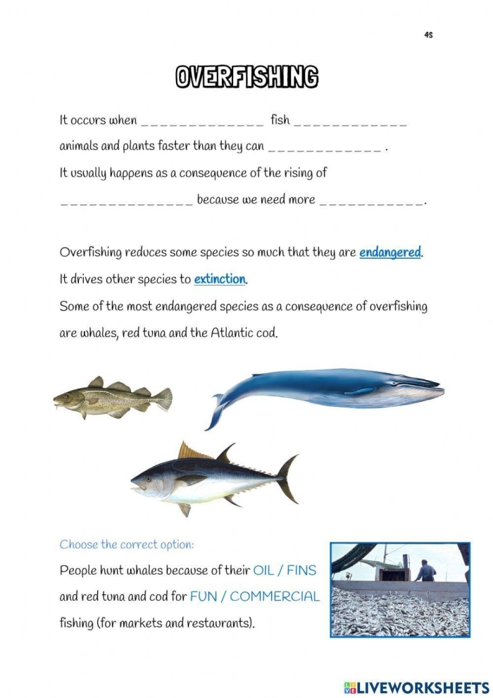Sixth grade students analyzing overfishing data and environmental impact on a science worksheet