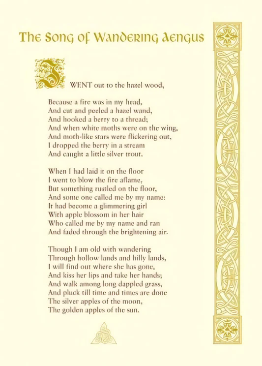 Worksheet for analyzing "The Song of Wandering Aengus" by W.B. Yeats for seventh-grade students