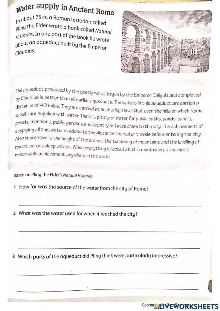 Sixth grade students comparing social classes in ancient Roman society with a worksheet activity