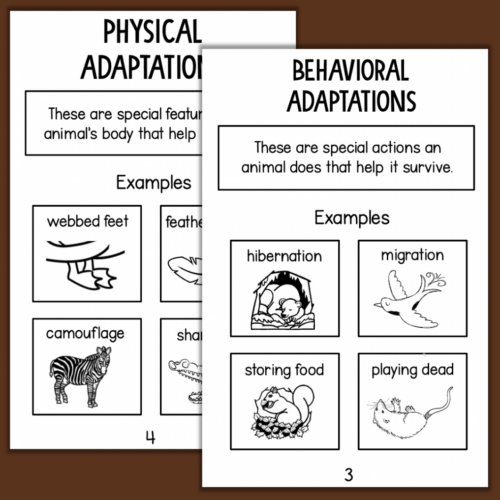 Second grade students sorting behavioral and physical animal adaptations on a cut and paste science worksheet
