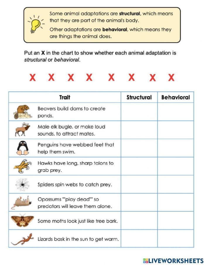 Second grade students using scissors to sort behavioral and physical animal adaptations on a cut-and-paste worksheet