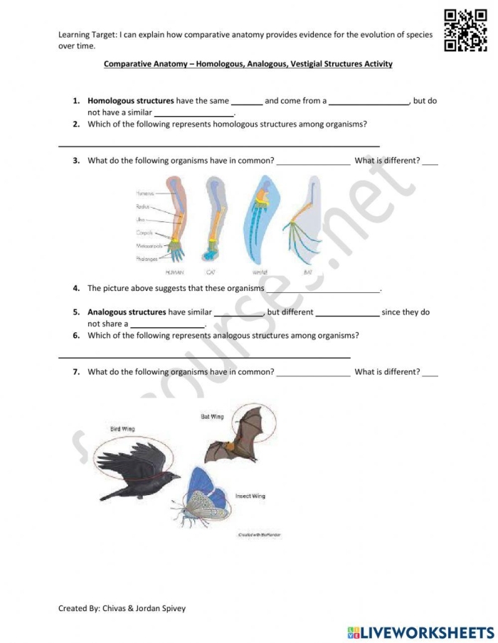 Sixth grade students examining diagrams of similar bone structures in animal limbs to understand evolution and adaptation