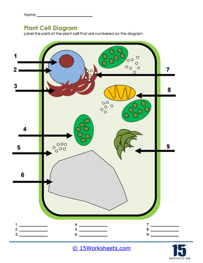 Diagram of an animal cell with labeled organelles and structures for students to identify and study
