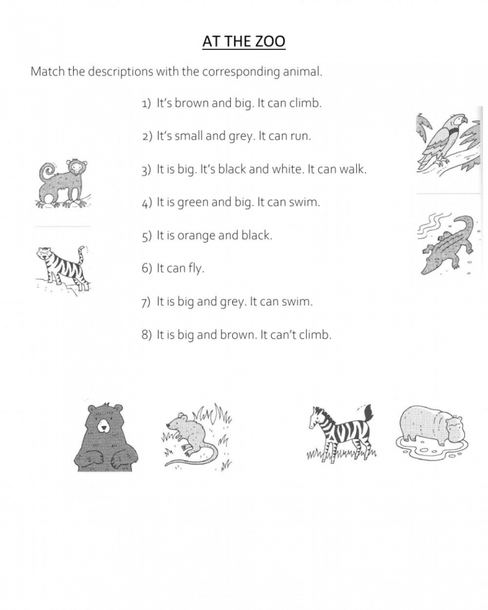 Animal Guess worksheet for Pre-K students featuring place value sight word practice