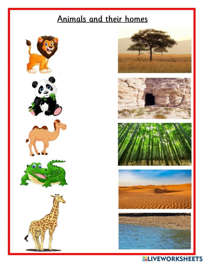 Animal Habitats Match-Up Game 18 for Early Readers Kindergarten student matching animals to their habitats in a colorful learning worksheet