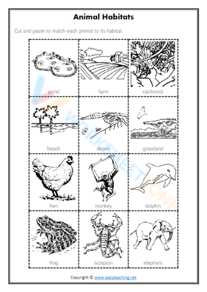 Animal Habitats for Kids Worksheet 22 Kindergarten Math Practice Kindergarten student matching animals to their natural environments on an algebra themed worksheet