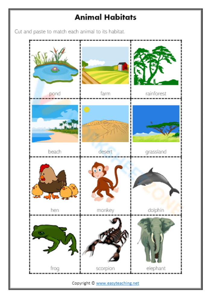Illustration of a science worksheet where children can draw habitats for six wild animals Coloring worksheet featuring animal habitats for kindergarten students to explore