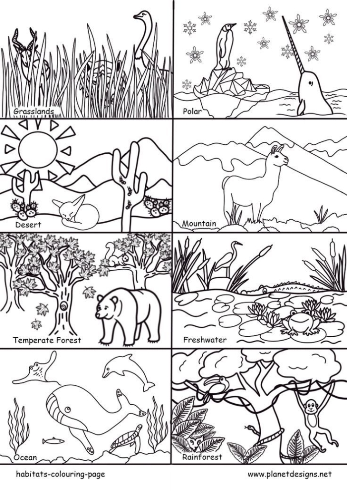 Engaging worksheet for kids to explore animal habitats through drawing and coloring Animal Habitats Coloring worksheet for kindergarten students showcasing wild animals and their environments