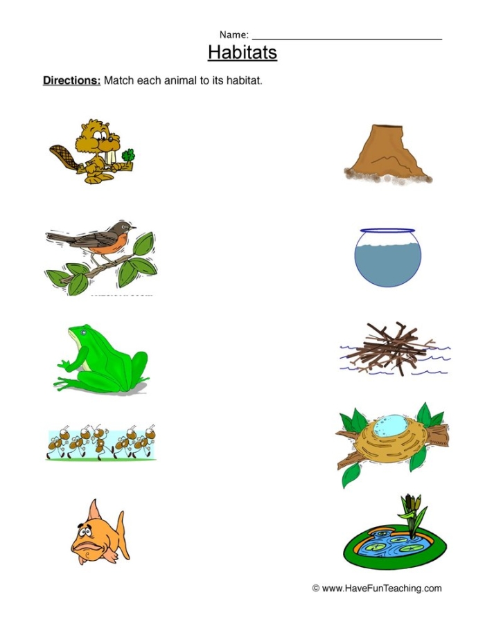 Animal Habitats Match-Up Game 11 for Early Readers Kindergarten student matching colorful animals to their natural habitats in a fun learning worksheet activity