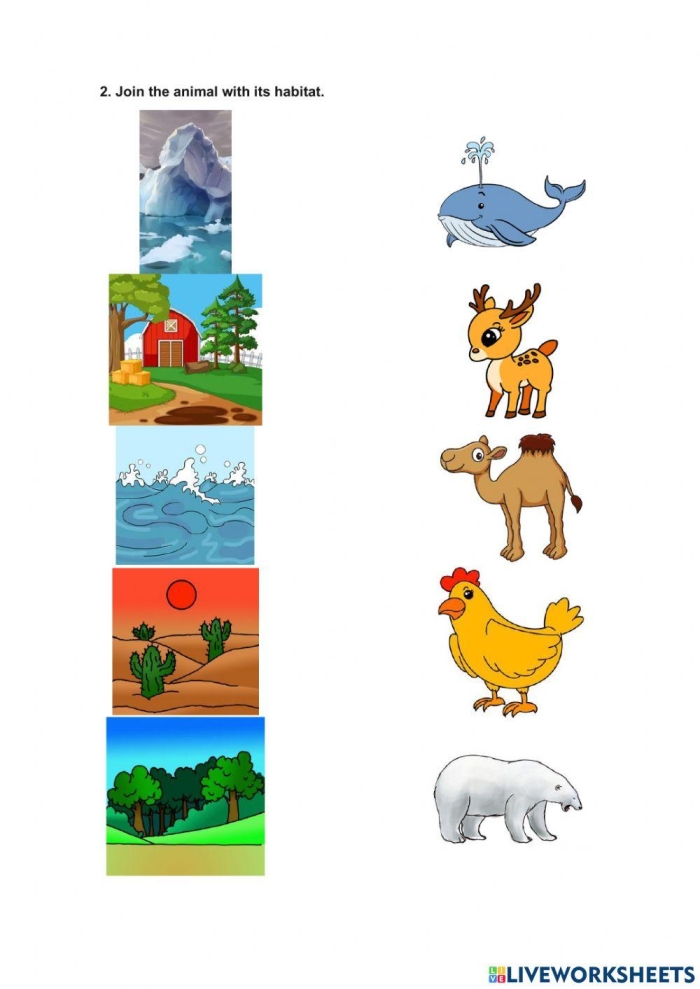 Animal Habitats for Kids Worksheet Nine Matching Exercise Kindergarten student matching animals to their natural habitats on an algebra learning worksheet