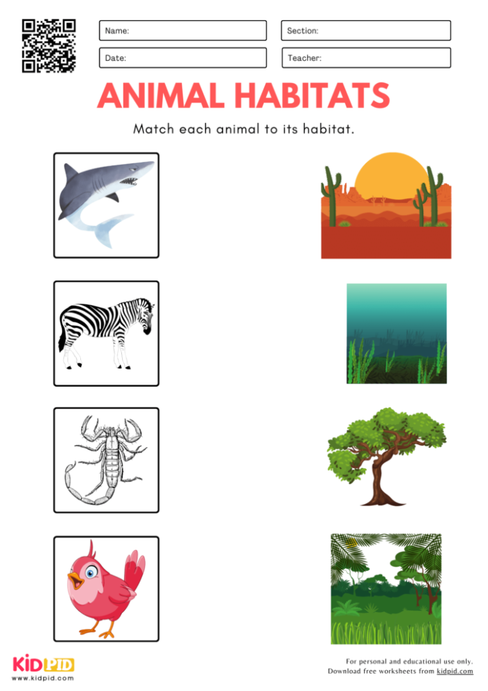 Animal Habitats Match-Up Worksheet 22 for Kindergarten Reading Skills Kindergarten student drawing lines to match animals like monkeys to their correct rainforest or desert habitats on a worksheet