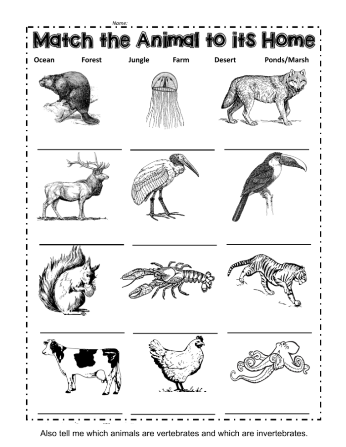 Animal Habitats Match-Up Game for Early Readers Kindergarten student matching animals to their habitats in a colorful worksheet activity