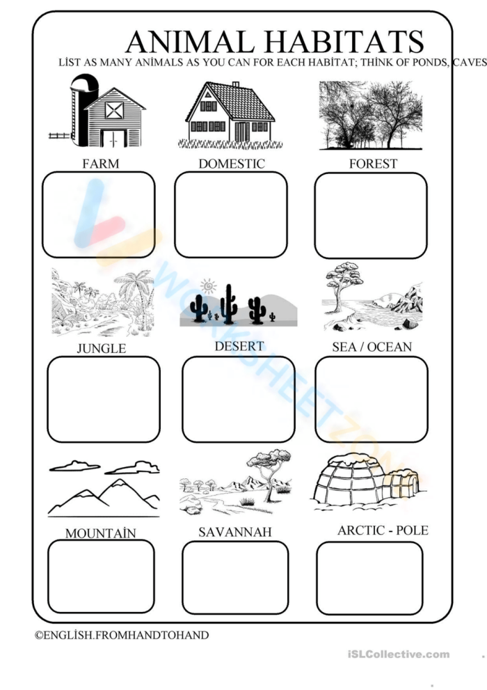 Animal Habitats for Kids Matching Activity Sheet 4 Kindergarten students matching animals to their natural habitats on a learning worksheet