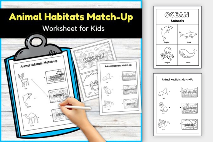 Animal Habitats Match-Up Worksheet for Kindergarten Reading Lesson 4 Kindergarten student drawing lines to match various wild animals to their correct natural habitats on a worksheet