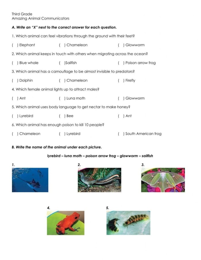 Interactive worksheet for fourth graders focused on making inferences about various animals. Engaging activity for learning animal facts and nonfiction reading skills.